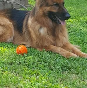 Meet your Posher, Kellie